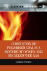 Combustion of Pulverised Coal in a Mixture of Oxygen and Recycled Flue Gas - eBook