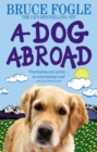 A Dog Abroad : One Man and his Dog Journey into the Heart of Europe - Book