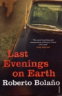 Last Evenings On Earth - Book
