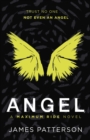 Angel: A Maximum Ride Novel : (Maximum Ride 7) - Book