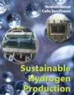 Sustainable Hydrogen Production - eBook