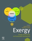 Exergy : Energy, Environment and Sustainable Development - eBook