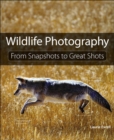 Composition : From Snapshots to Great Shots - eBook