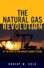 Natural Gas Revolution, The : At the Pivot of the World's Energy Future - eBook