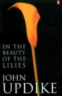 In the Beauty of the Lilies - Book