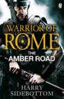 Warrior of Rome VI: The Amber Road - Book