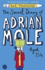 The Secret Diary of Adrian Mole Aged 13 ¾ - Book