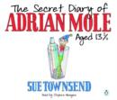 The Secret Diary of Adrian Mole Aged 13 3/4 - Book