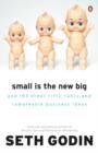 Small is the New Big : And 183 Other Riffs, Rants and Remarkable Business Ideas - eBook