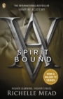 Vampire Academy: Spirit Bound (book 5) - eBook