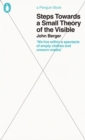 Steps Towards a Small Theory of the Visible - eBook