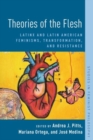 Theories of the Flesh : Latinx and Latin American Feminisms, Transformation, and Resistance - Book