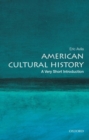 American Cultural History: A Very Short Introduction - Book