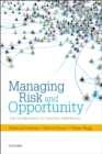 Managing Risk and Opportunity : The Governance of Strategic Risk-Taking - eBook