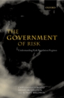 The Government of Risk : Understanding Risk Regulation Regimes - eBook