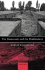 The Holocaust and the Postmodern - eBook