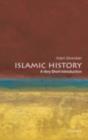 Islamic History: A Very Short Introduction - eBook
