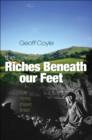 The Riches Beneath our Feet : How Mining Shaped Britain - eBook