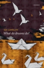 What Do Dreams Do? - eBook