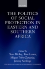The Politics of Social Protection in Eastern and Southern Africa - eBook