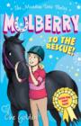 The Meadow Vale Ponies: Mulberry to the Rescue! - Book