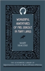 Wonderful Adventures of Mrs Seacole in Many Lands - Book