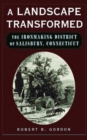 A Landscape Transformed : The Ironmaking District of Salisbury, Connecticut - Book