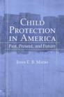 Child Protection in America : Past, Present, and Future - Book