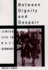 Between Dignity and Despair : Jewish Life in Nazi Germany - eBook