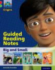 Project X Origins: Red Book Band, Oxford Level 2: Big and Small: Guided reading notes - Book