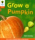 Oxford Reading Tree: Level 6: Floppy's Phonics Non-Fiction: Grow a Pumpkin - Book