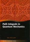 Path Integrals in Quantum Mechanics - Book