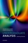 Undergraduate Analysis : A Working Textbook - Book