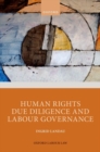 Human Rights Due Diligence and Labour Governance - Book
