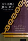 Juvenile Justice Sourcebook : Past, Present, and Future - Book
