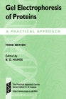 Gel Electrophoresis of Proteins : A Practical Approach - Book