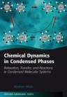 Chemical Dynamics in Condensed Phases : Relaxation, Transfer, and Reactions in Condensed Molecular Systems - Book