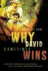 Why David Sometimes Wins : Leadership, Organization, and Strategy in the California Farm Worker Movement - Book