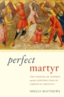 Perfect Martyr : The Stoning of Stephen and the Construction of Christian Identity - eBook