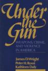 Under the Gun : Weapons, Crime, and Violence in America - Book