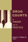 Drug Courts : In Theory and in Practice - Book