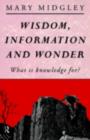 Wisdom, Information and Wonder : What is Knowledge For? - eBook