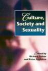 Culture, Society And Sexuality : A Reader - eBook