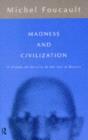 Madness and Civilization - eBook