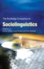The Routledge Companion to Sociolinguistics - eBook