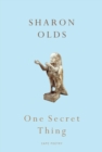 One Secret Thing - Book