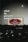 What Do Pictures Want? : The Lives and Loves of Images - eBook