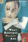 What Emotions Really Are : The Problem of Psychological Categories - Book