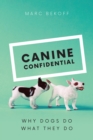 Canine Confidential : Why Dogs Do What They Do - Book