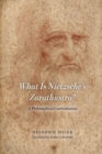 What is Nietzsche`s Zarathustra? - A Philosophical Confrontation - Book